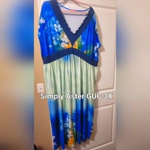 Simply aster plus size dress 3X